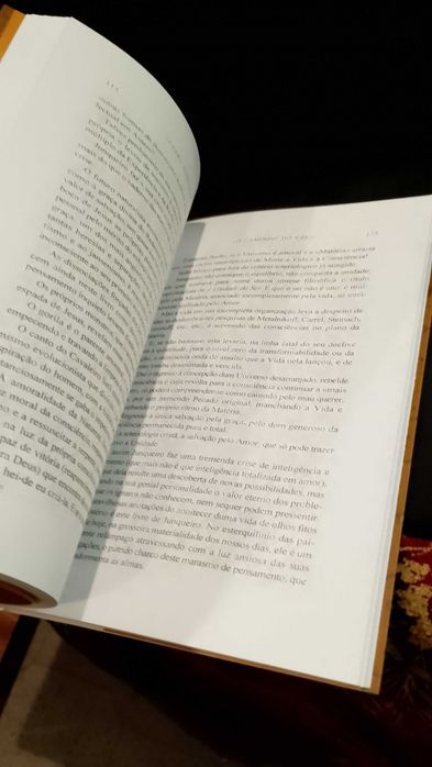 Guerra Junqueiro - Leonardo Coimbra