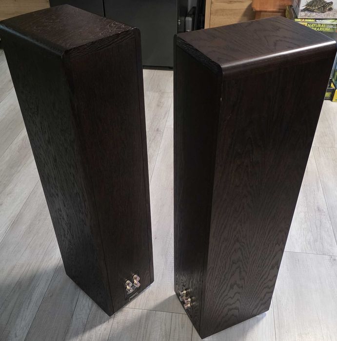 Canton Ergo 670DC kolumny podłogowe High End