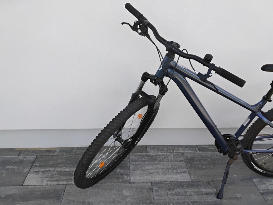 Rower Rockerider 29