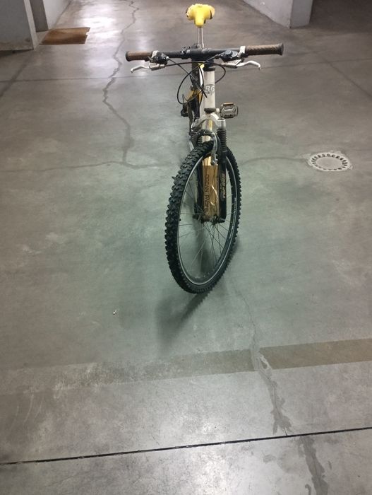 Bicicleta para adultos