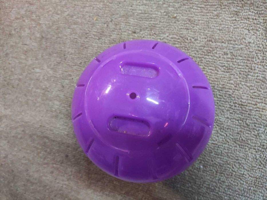 Bola para hamster