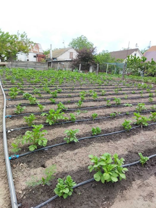 Будинок в м. Миколаєві (Корабельний район)