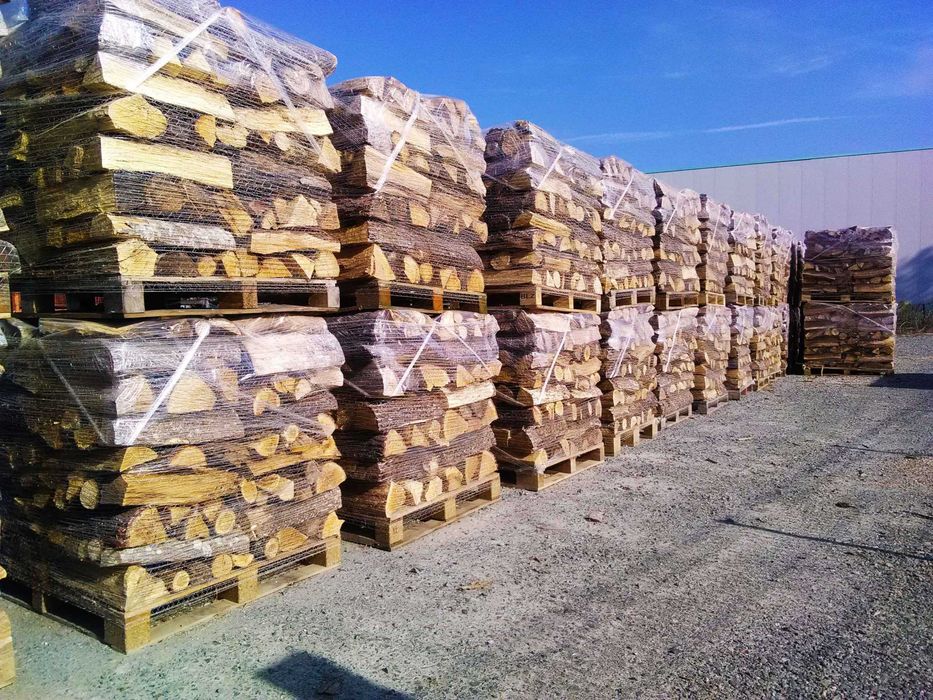 Lenha seca – Pronta para queimar!