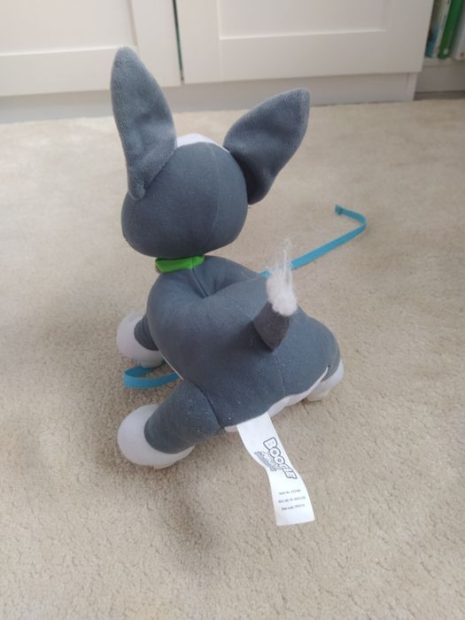 Epee psi rozrabiaka boogie junior pies na smyczy