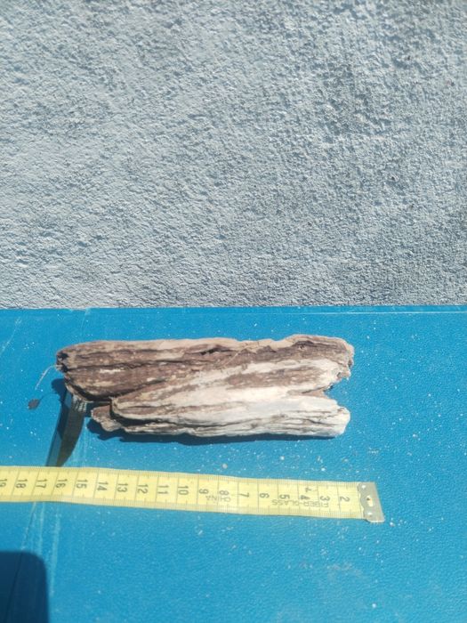 Troncos de deriva / para aquário