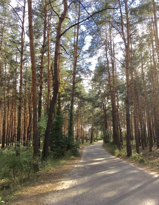 Участок в Конча Заспе, рядом озеро, Голосеевский район, с. Чапаевка
