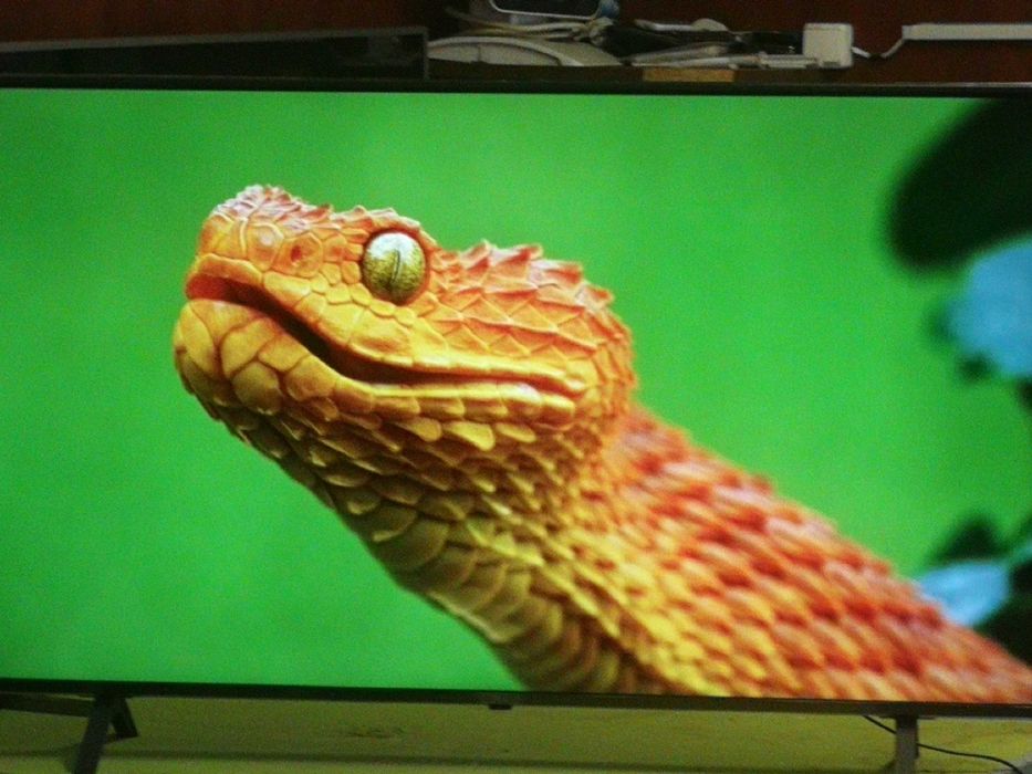 Telewizor LG  led 65 cali 4K UHD, system webos Smart TV, IDEAL