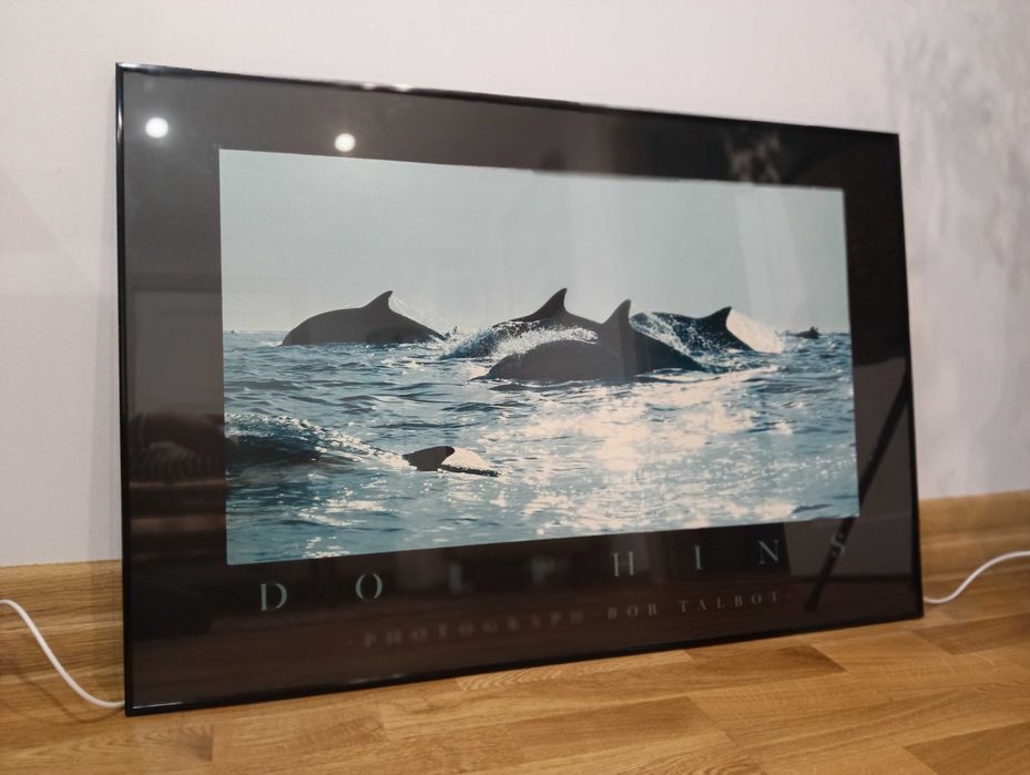 Kolekcja fotografii oprawionych w drewnianych ramach, duży format
