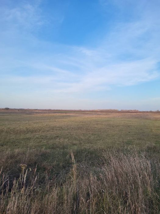Продам земельну ділянку осг - View 3