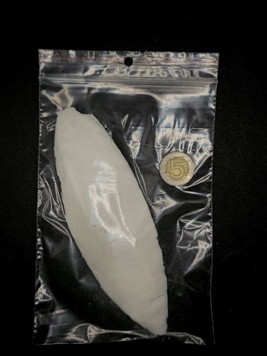 Sepia kość mątwy 12-15cm