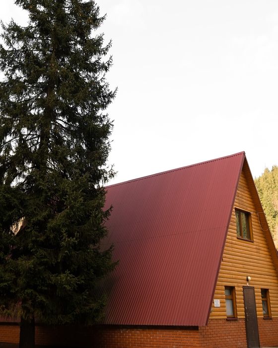 Будинок в Яблуниці. Проживання в Карпатах з харчуванням в Буковелі.