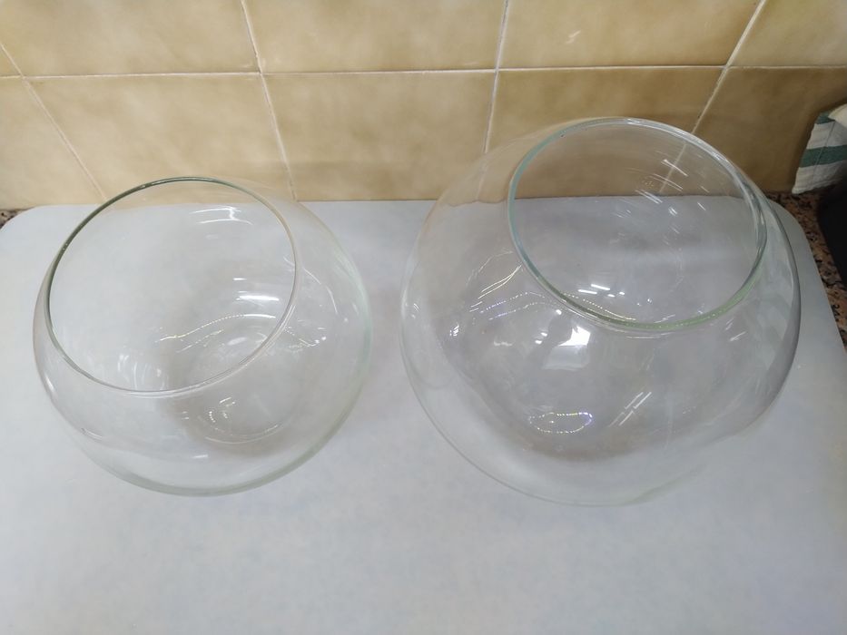 Aquário taça de vidro terrário vaso jarra casa quarto apartamento.