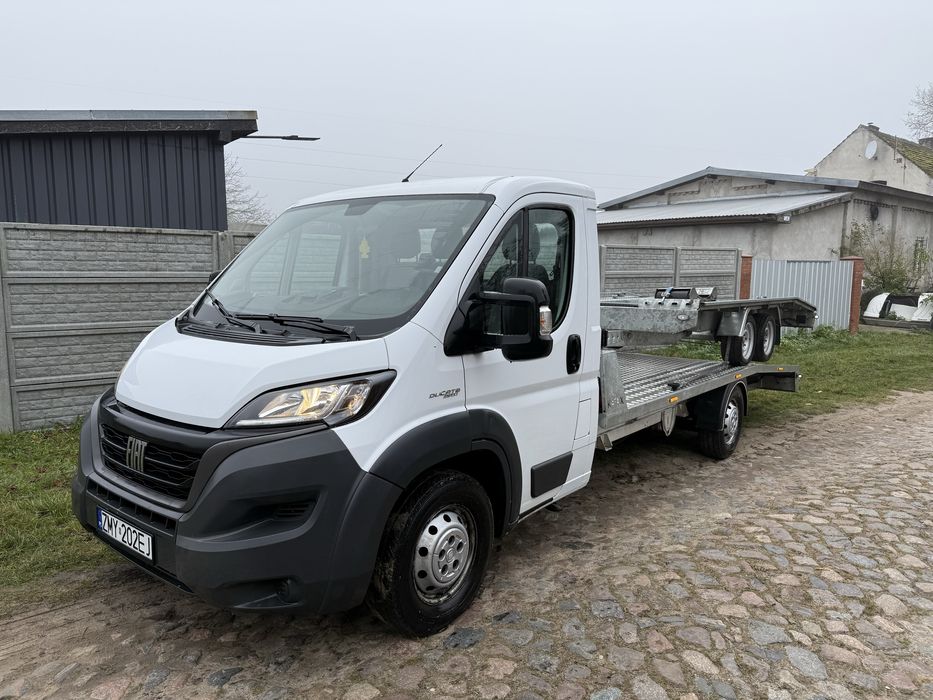 Wynajem autolawet, przyczep, busów