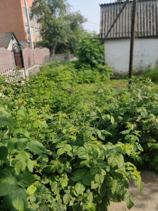 Продаж 3к квартири с.Терезине