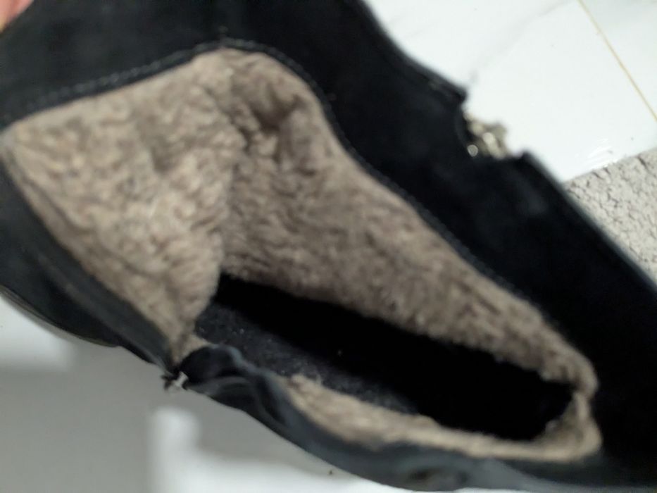 Напівчобітки зимові