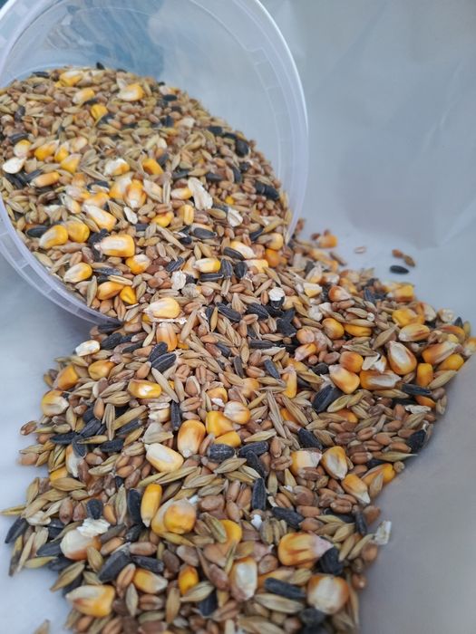 Насіння в контейнері та на вагу