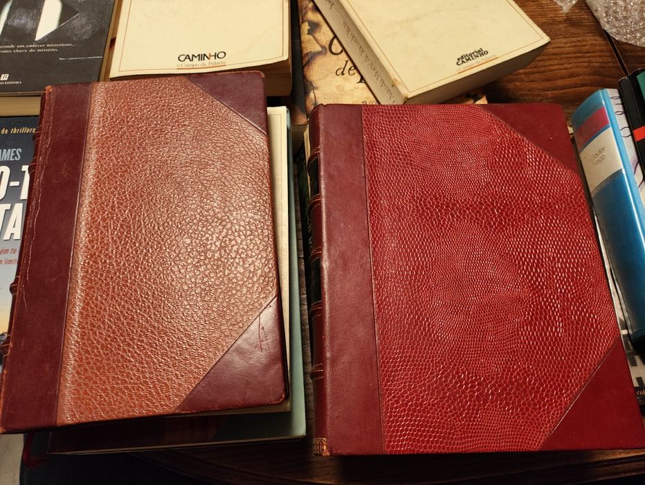 Livros a sangue frio de truman capote e o moinho à beira do floss