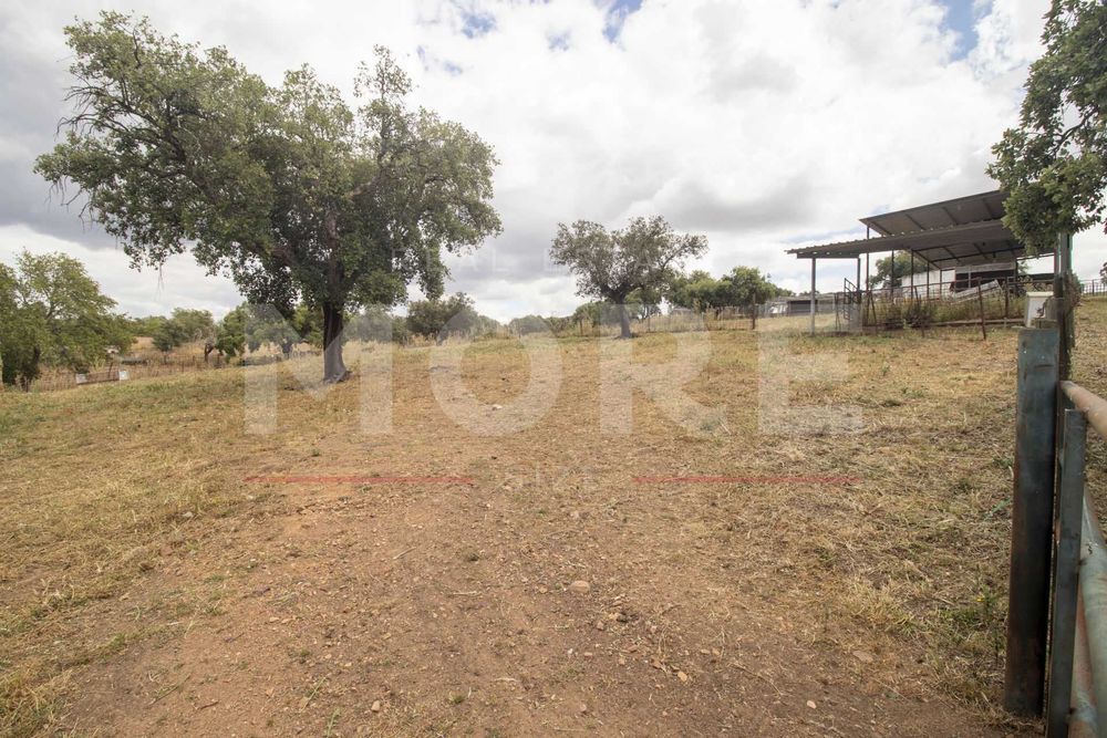 Herdade em Alvito - a 50 min Alqueva