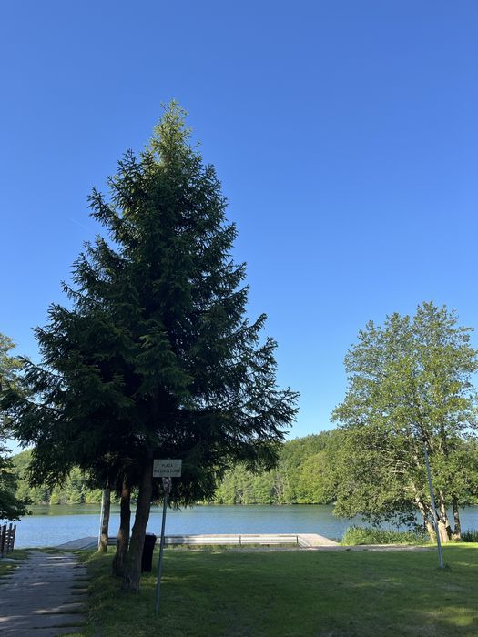 Dom wypoczynkowy „Domek w lawendach” [23km od Kołobrzegu]