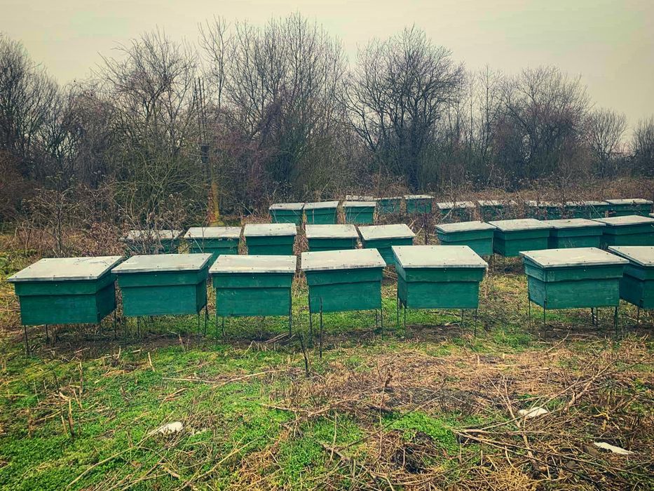 Продаються вулики,улей, улья, лежаки