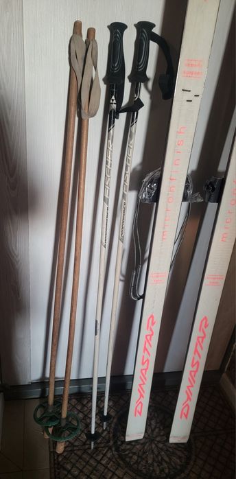 Лыжи Dynastar Viridium(Франція)