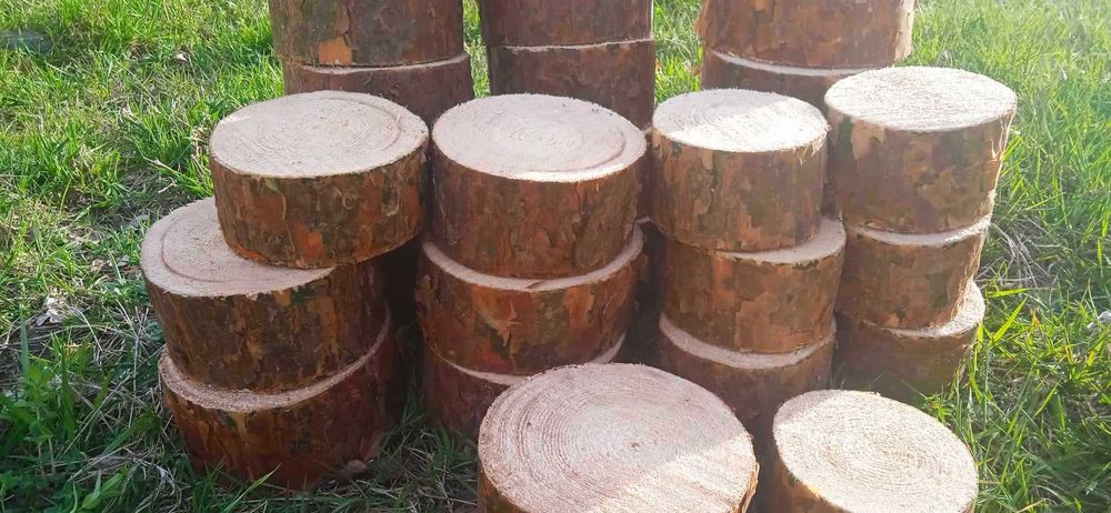 Pieńki drewniane 30 sztuk , 10-20 cm, na ścierzkę ogrodową, plastry drewna, krążki drewniane, mieszanka
