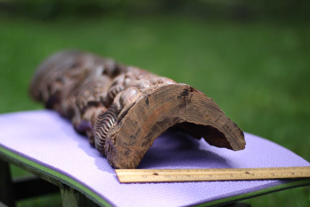 Статуэтка из сандалового дерева, 500 х 150 мм, 2.2 кг, Мозамбик '85.