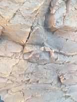 Fundo de aquário 3D