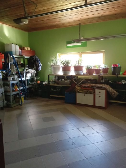 Дім 200 м2 ділянка 12 сотин Берегово Виноградна