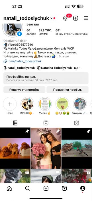 Чарівна красуня Вуглинка кокер