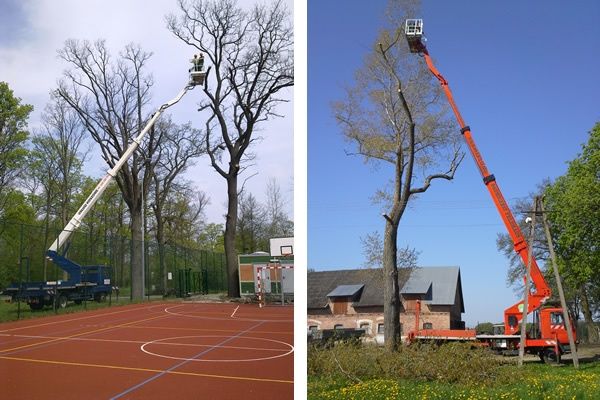 Wicinanie drzew, przycinanie koron, podnośnik koszowy, rębak do gałęzi