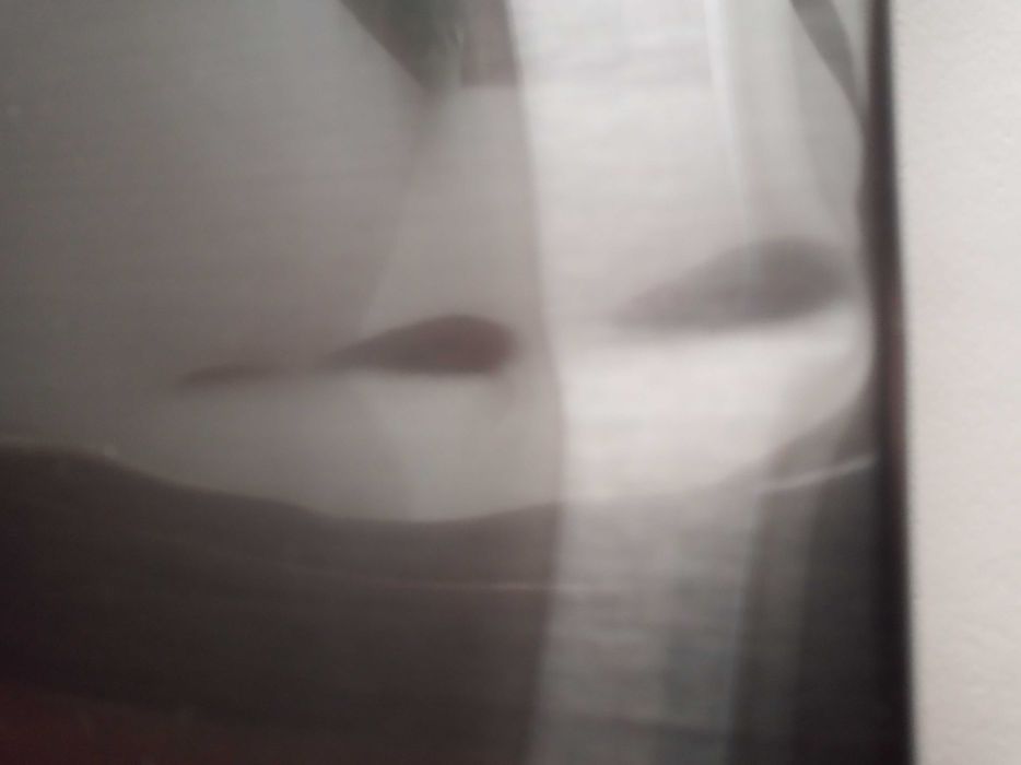 Drzwi do lodowki Samsung RF65A977FSG