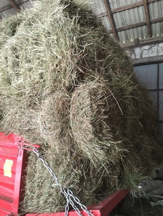 Sprzedam siano w kostkach