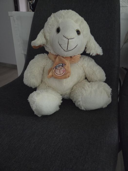 Miś owieczka bialy