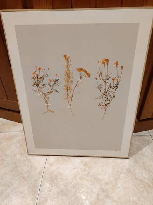 Quadro em bom estado64741107824642120