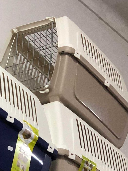 Transportadora Animais