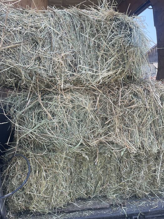 Продам сіно різнотравʼя