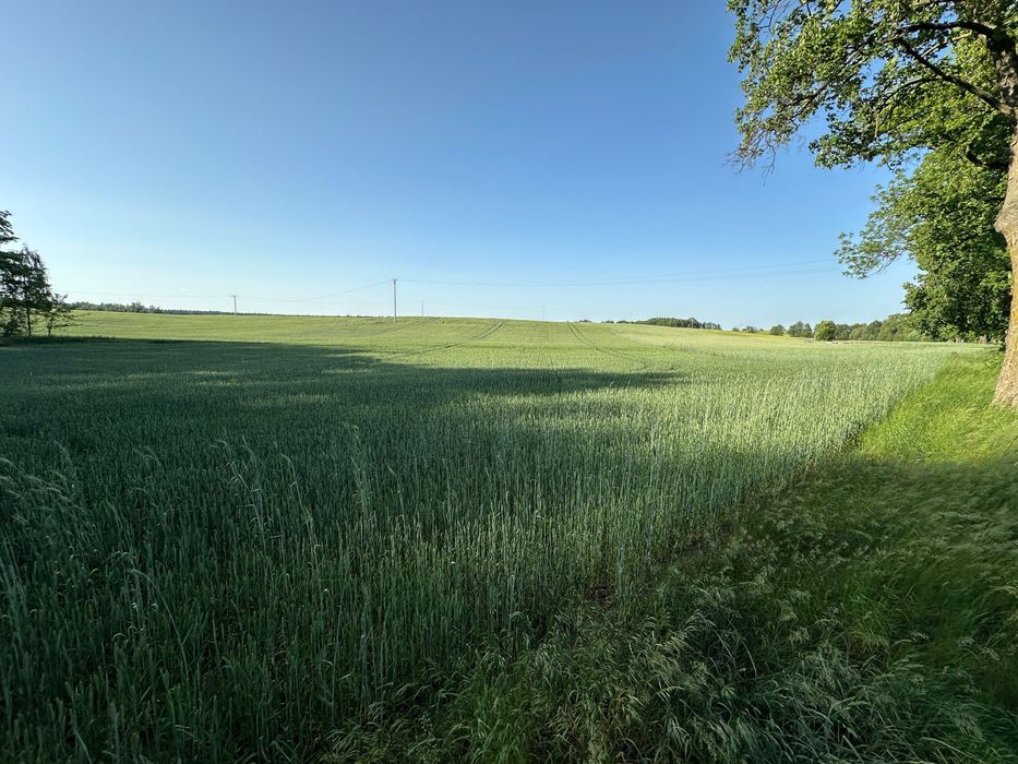 Działki pod rekreację