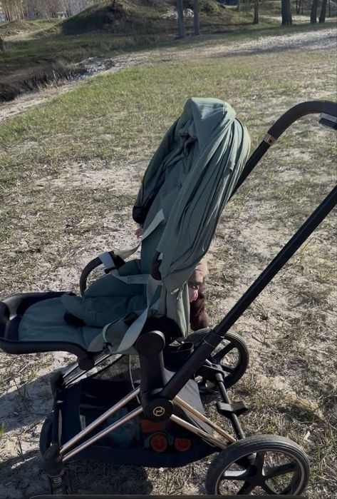 Cybex Priam 4.0 коляска 2 в 1 Leaf Green шасі Rose Gold