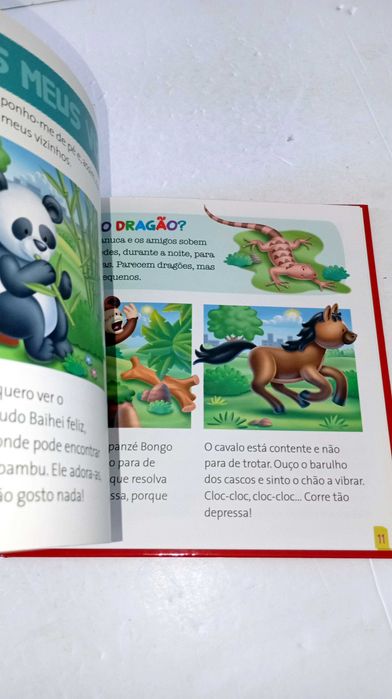 Naga, a Dragão-de-Komodo - Os meus animais do Zoo