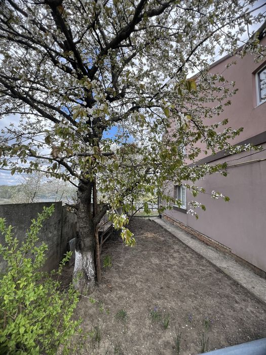 Будинок 256м² + 10 соток | Раково | Гараж, сауна, 5 кімнат