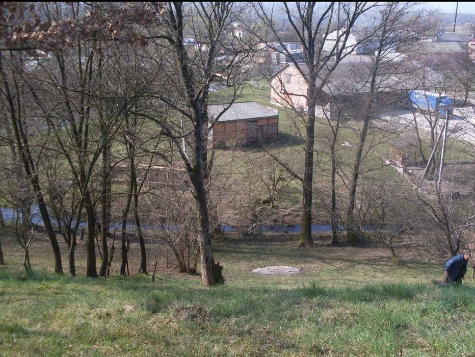 Продаж будинку з земельною ділянкою 26 соток в с.Бедевля