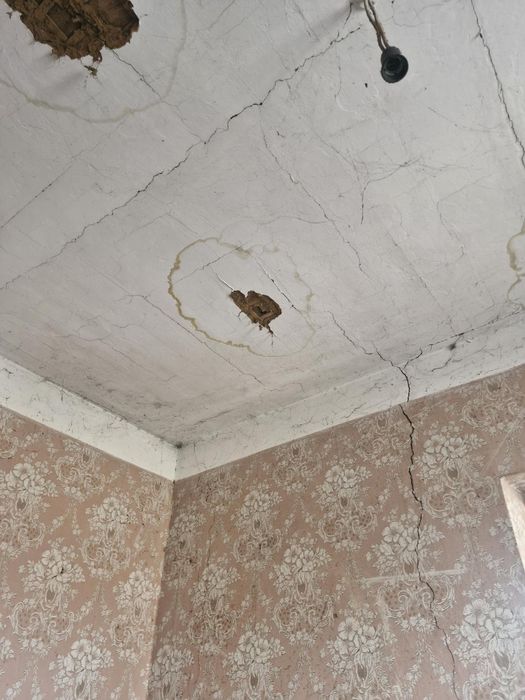 Продається 1/2 житлового будинку з ділянкою 10 соток та маленьким пруд