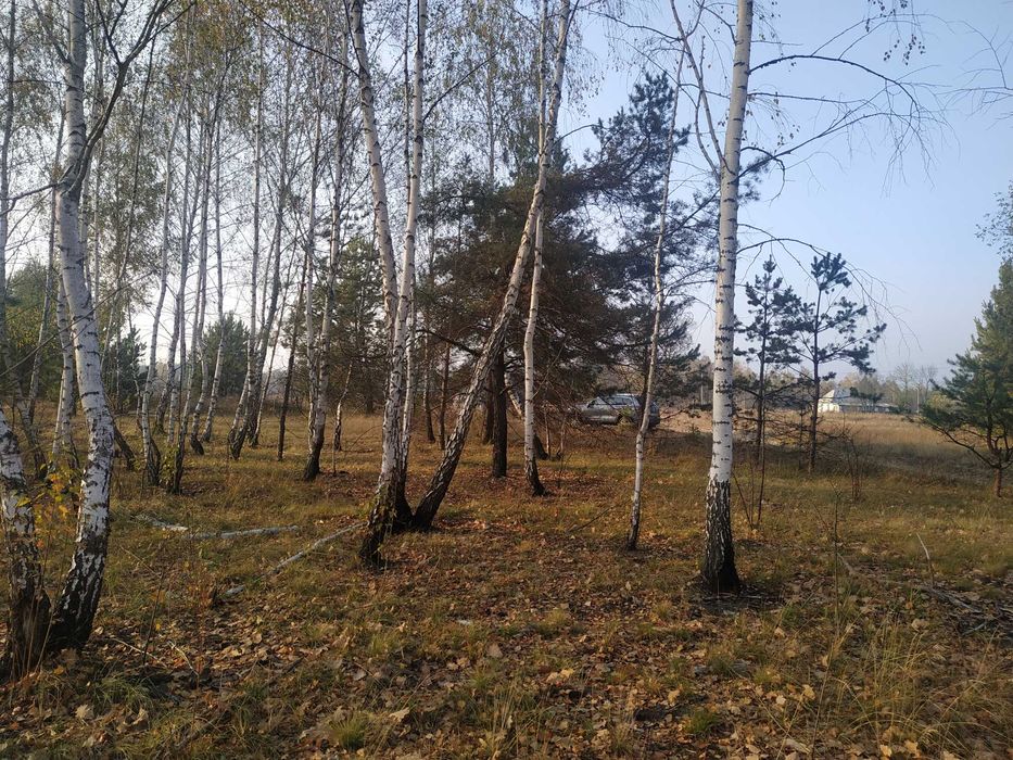 Продам ділянку 20 соток під забудову біля лісу с. Жукин