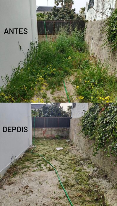 Serviço de jardinagem