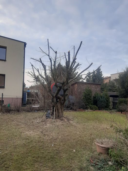 Usługi ogrodnicze i porządkowe