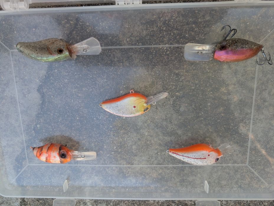Amostras de pesca personalizadas