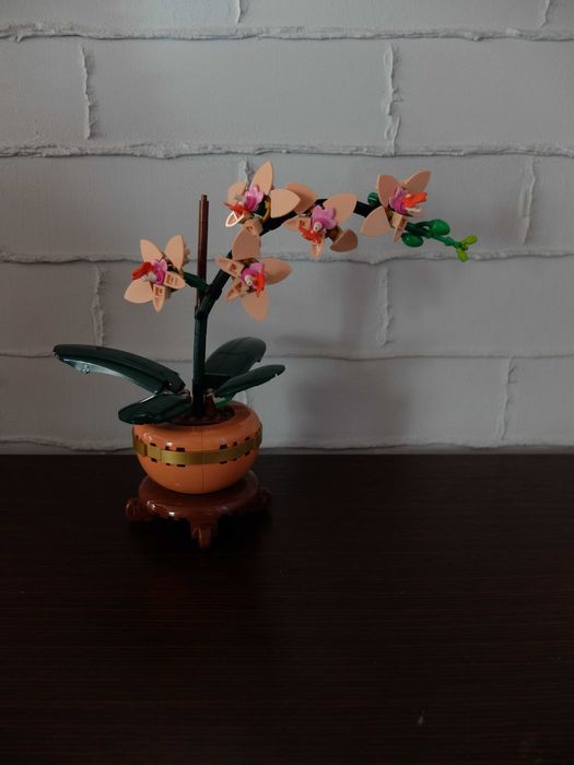 lego 10343 kwiat kolekcjonerski orchidea