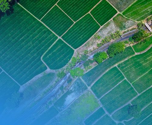 Продається земельна ділянка 2га