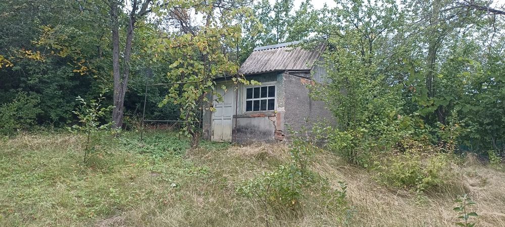 Ділянка 5.43 сот, Шкарівка Білоцерківський р-он